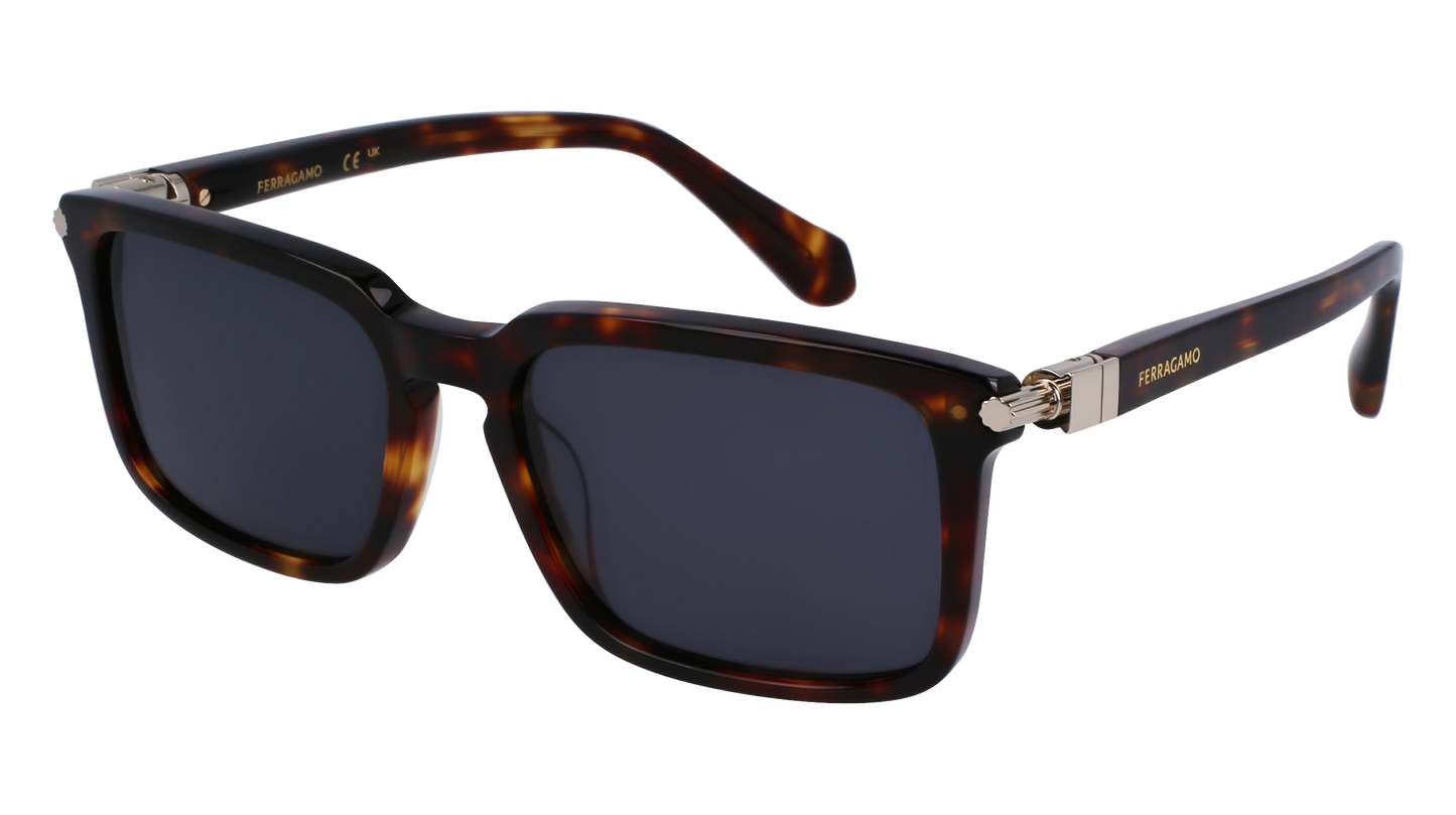 FERRAGAMO Sunglasses SF1110S 242 56