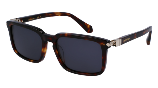 FERRAGAMO Sunglasses SF1110S 242 56