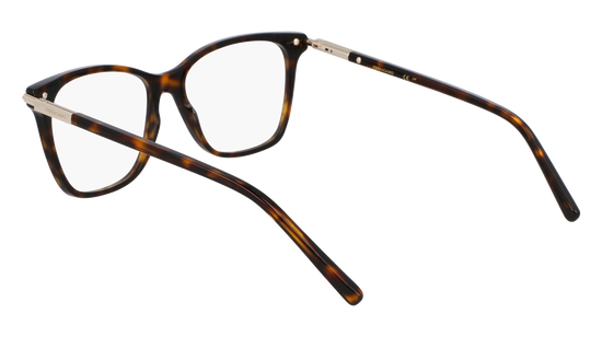 FERRAGAMO Eyeglasses SF3013 242 53