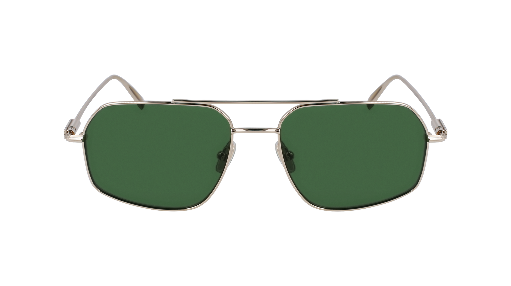 FERRAGAMO Sunglasses SF313S 746 58