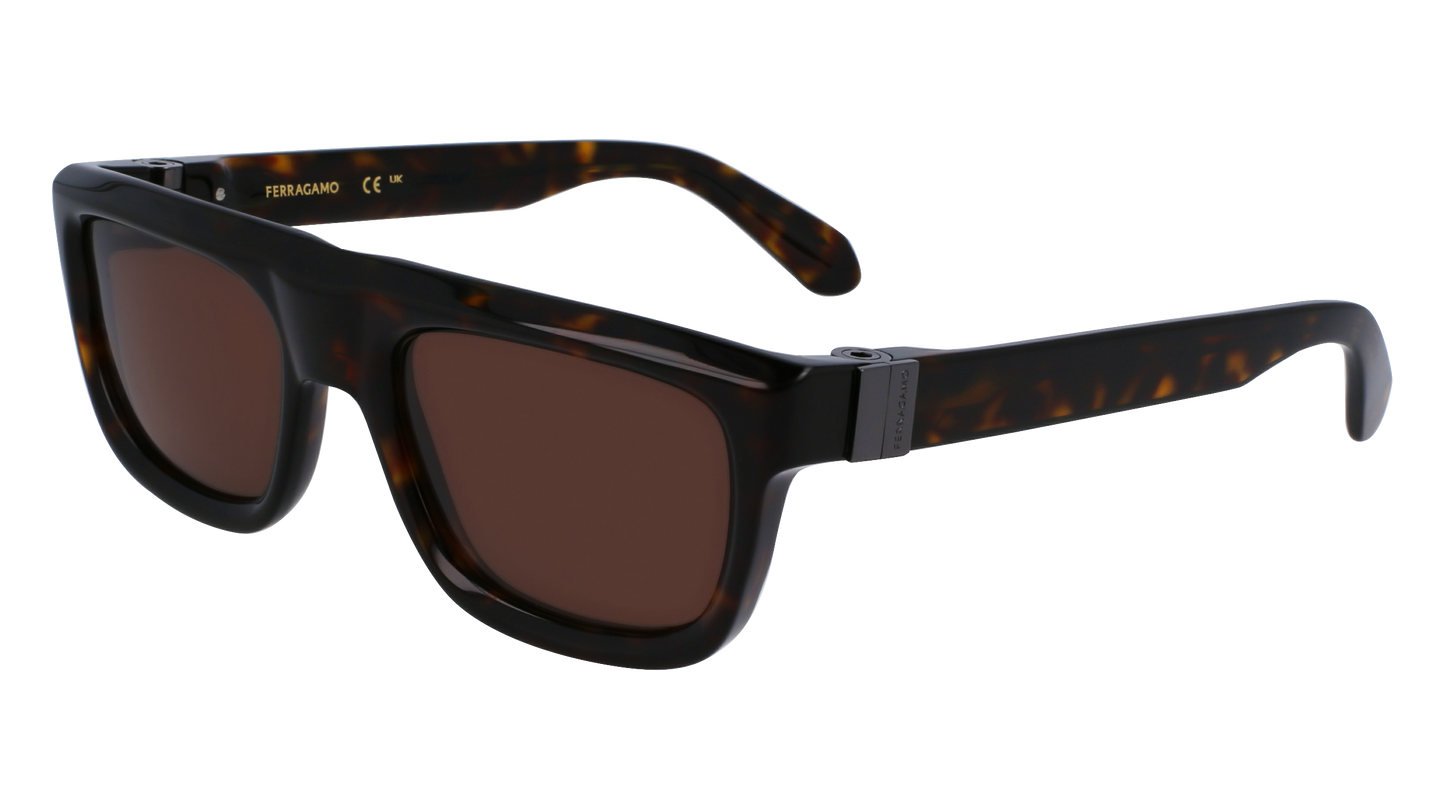 FERRAGAMO Sunglasses SF2009S 242 56