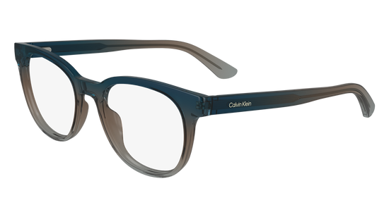 CALVIN KLEIN Eyeglasses CK24522 539 52