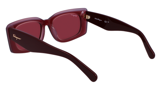 FERRAGAMO Sunglasses SF1079S 614 54