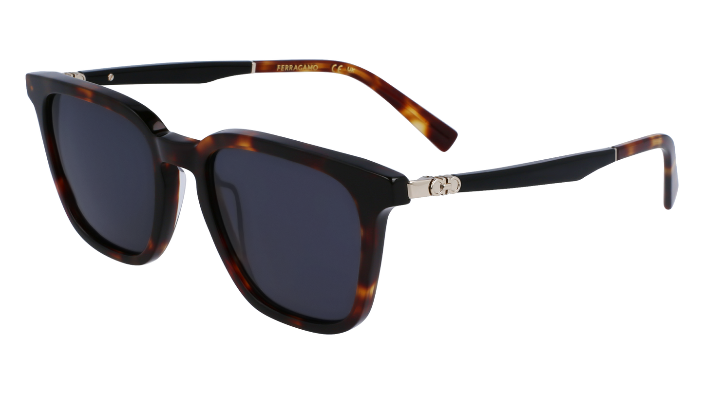 FERRAGAMO Sunglasses SF1100S 242 52