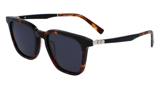 FERRAGAMO Sunglasses SF1100S 242 52