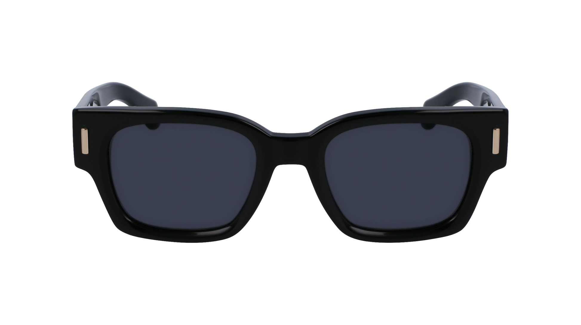 FERRAGAMO Sunglasses SF2010S 1 52