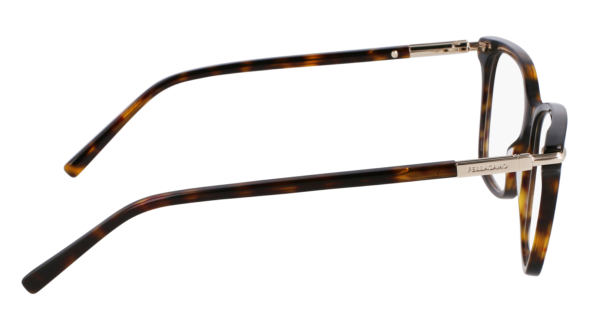 FERRAGAMO Eyeglasses SF3013 242 55