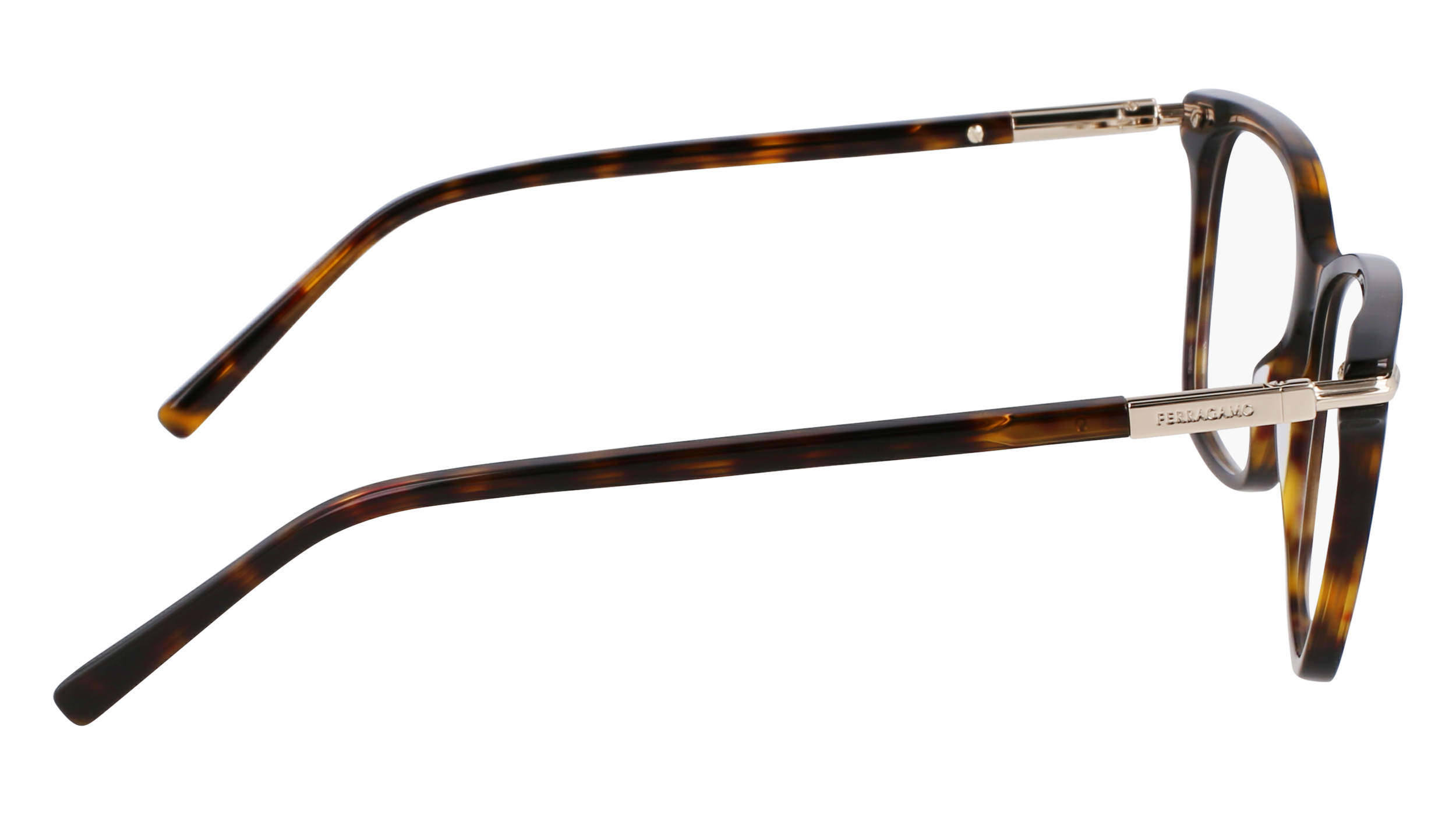 FERRAGAMO Eyeglasses SF3013 242 55