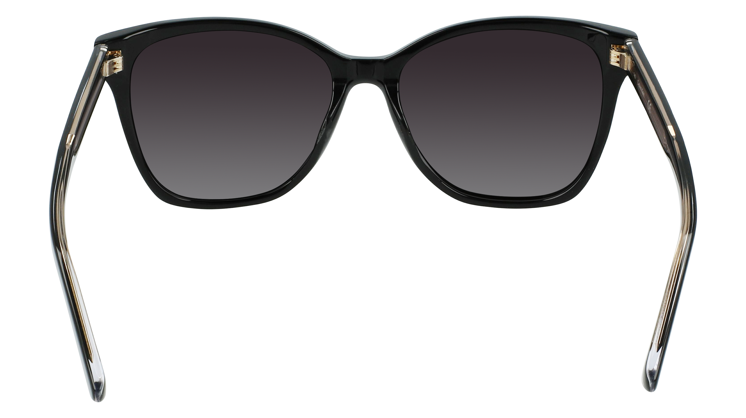 Calvin Klein CK21529S 1