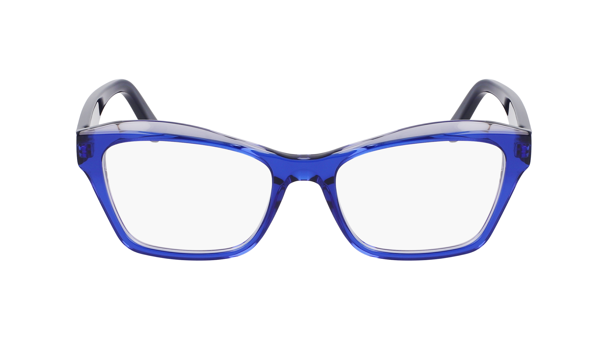 FERRAGAMO Eyeglasses SF2951N 435 53