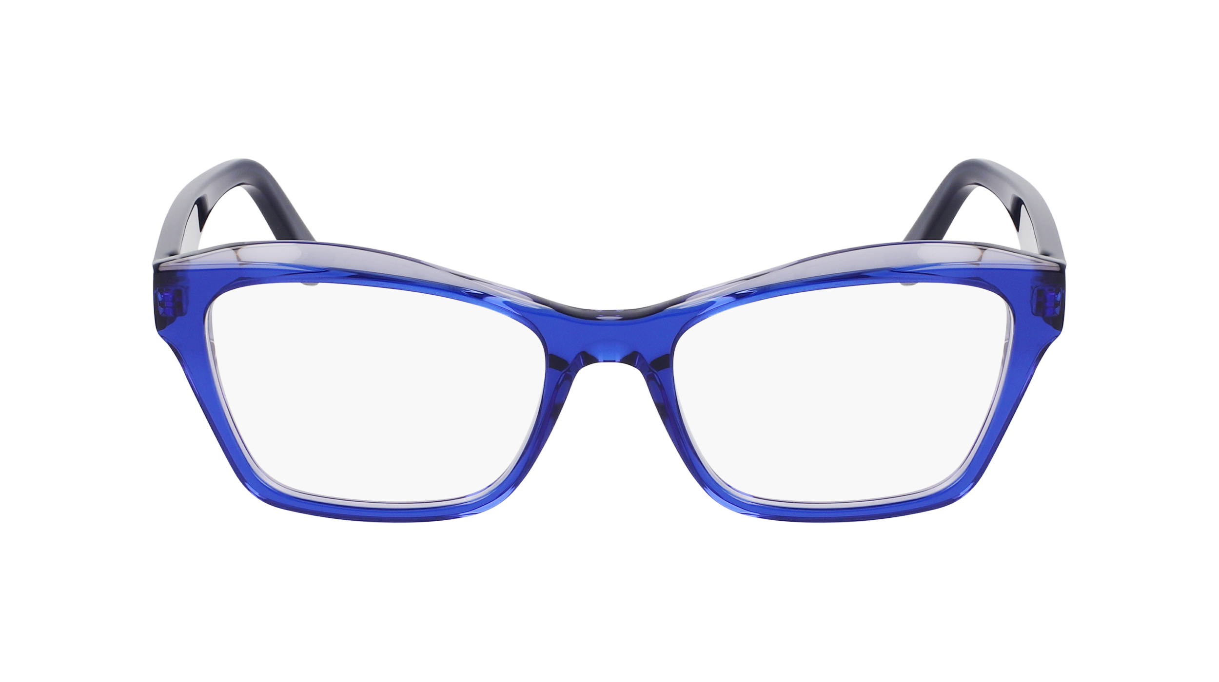 FERRAGAMO Eyeglasses SF2951N 435 53