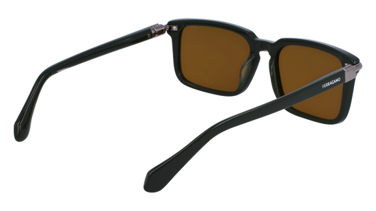 FERRAGAMO Sunglasses SF1110S 302 56