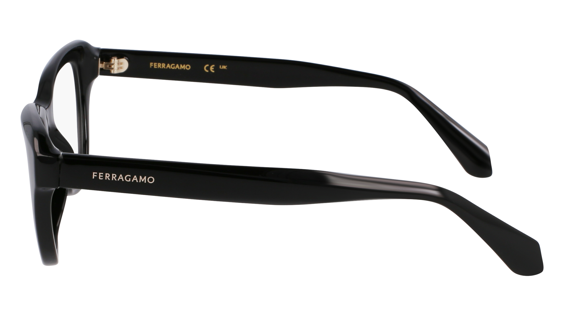 FERRAGAMO Eyeglasses SF2989E 1 51