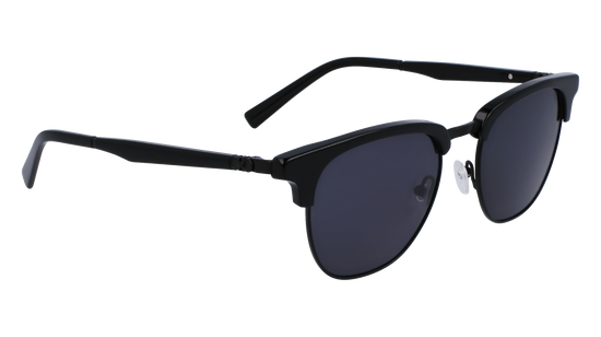 FERRAGAMO Sunglasses SF307S 1 53