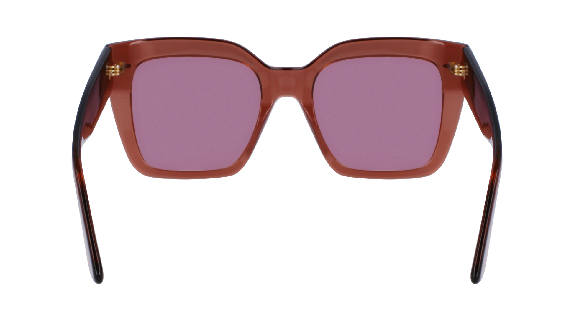 CALVIN KLEIN Sunglasses CK23508S 200 54