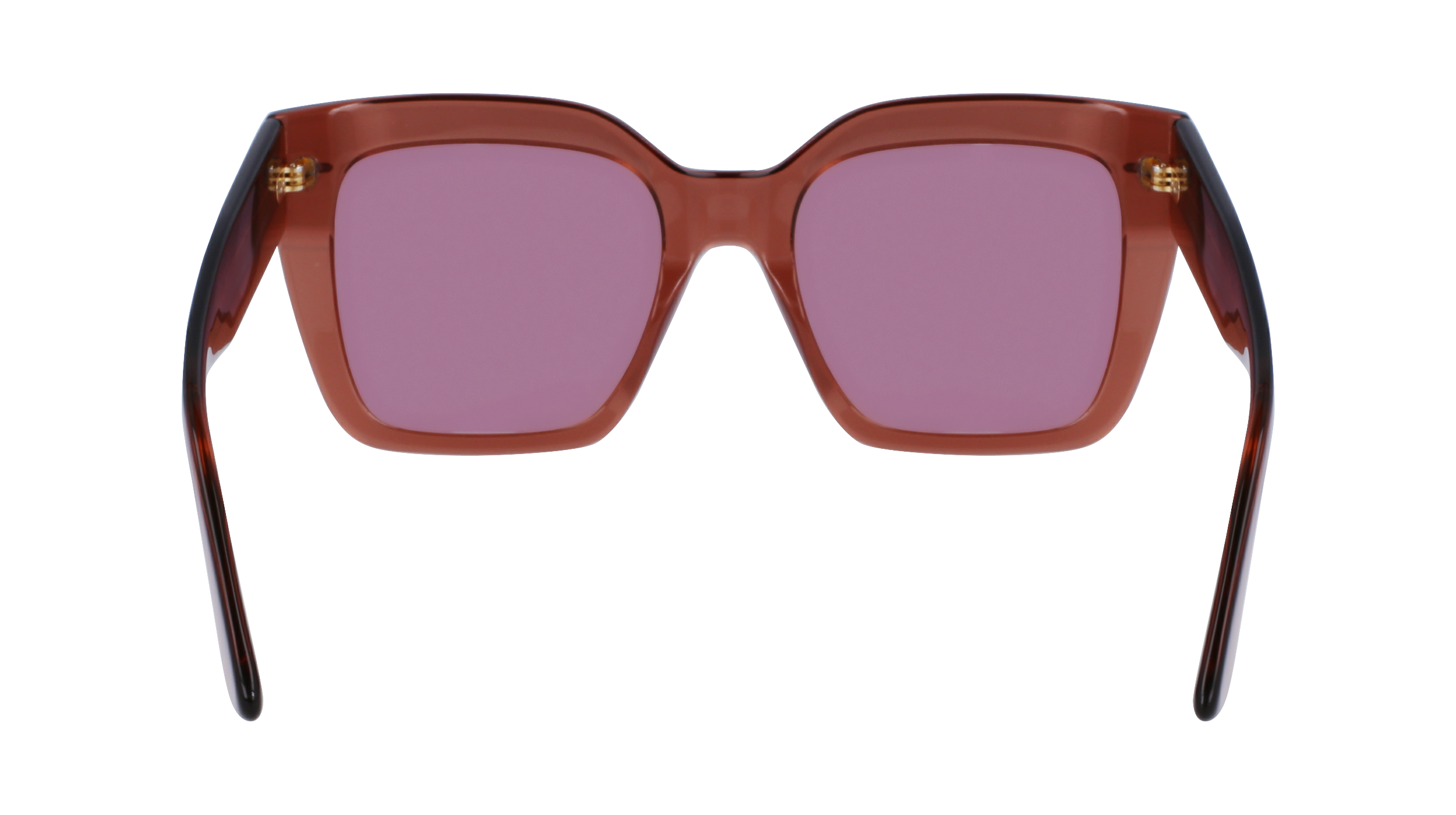 CALVIN KLEIN Sunglasses CK23508S 200 54