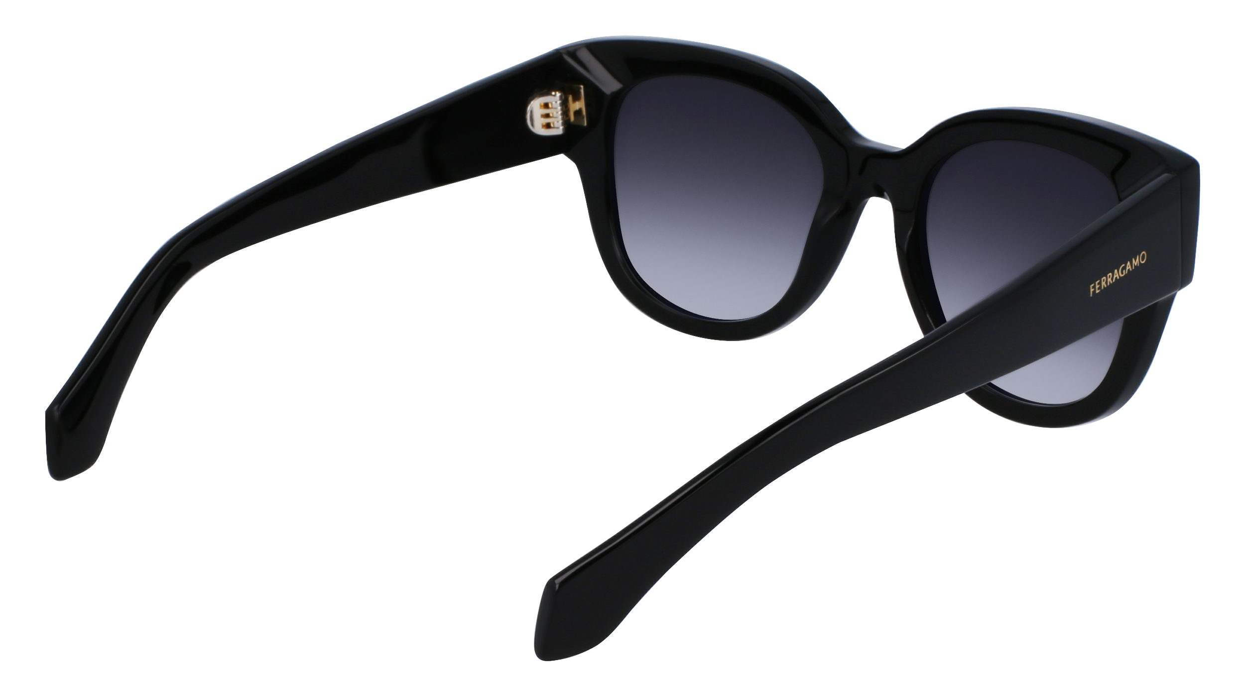 FERRAGAMO Sunglasses SF2007S 1 51
