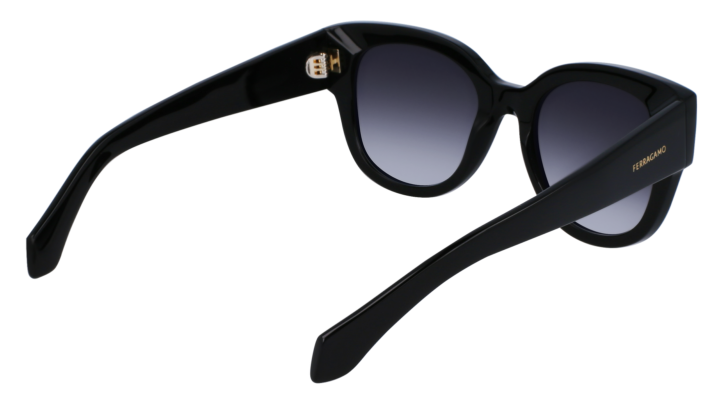 FERRAGAMO Sunglasses SF2007S 1 51