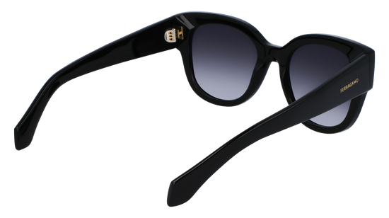 FERRAGAMO Sunglasses SF2007S 1 51