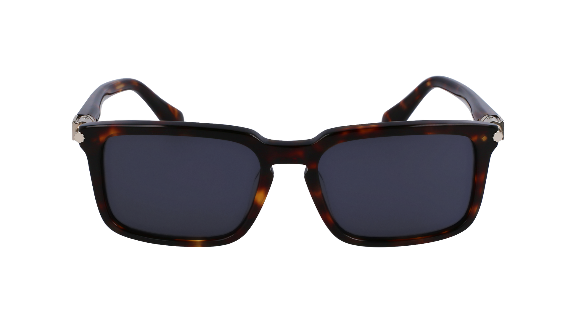 FERRAGAMO Sunglasses SF1110S 242 56