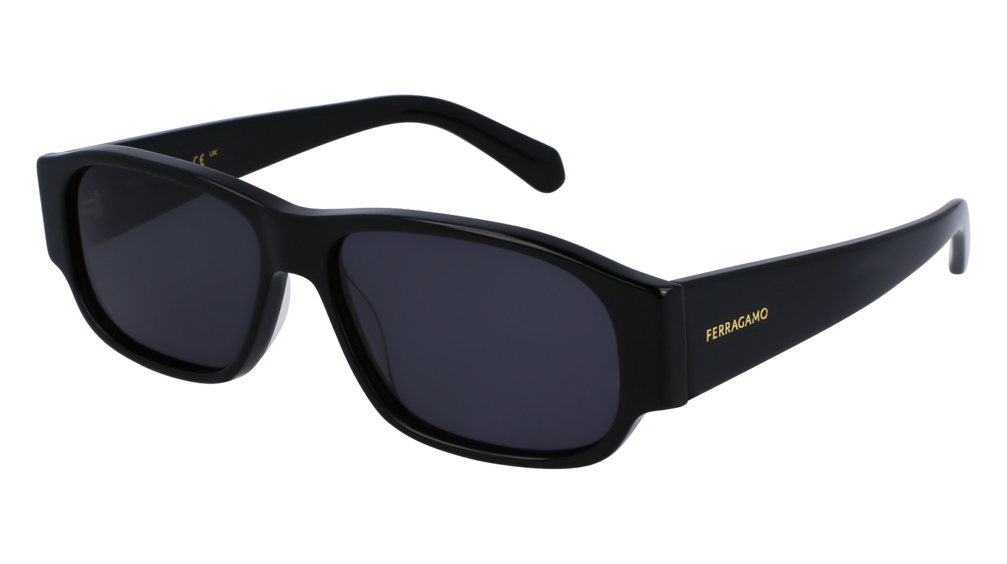 FERRAGAMO Sunglasses SF1109S 1 57