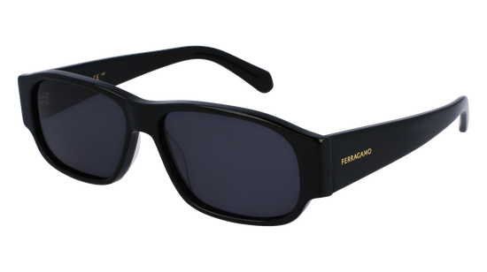 FERRAGAMO Sunglasses SF1109S 1 57