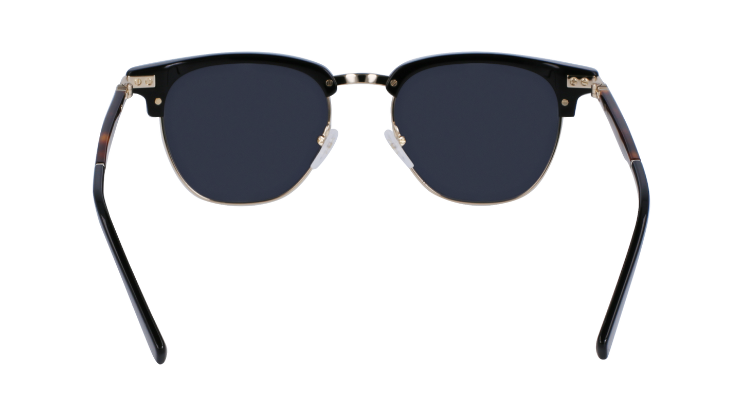 FERRAGAMO Sunglasses SF307S 11 53