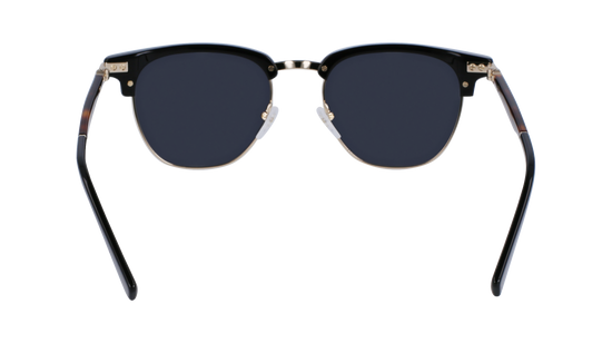 FERRAGAMO Sunglasses SF307S 11 53