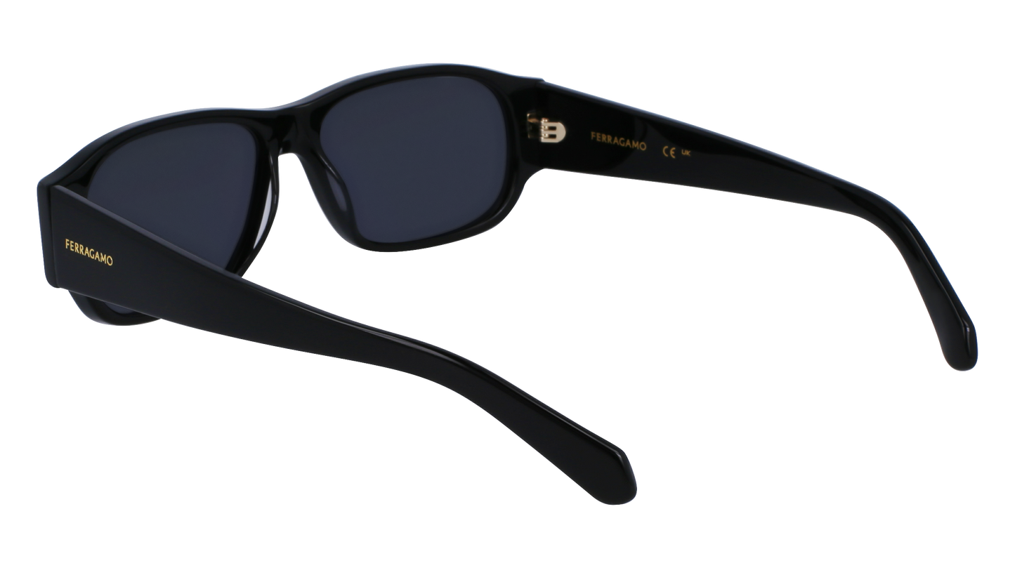 FERRAGAMO Sunglasses SF1109S 1 57