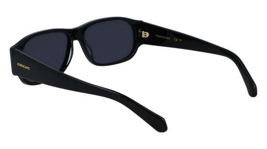 FERRAGAMO Sunglasses SF1109S 1 57