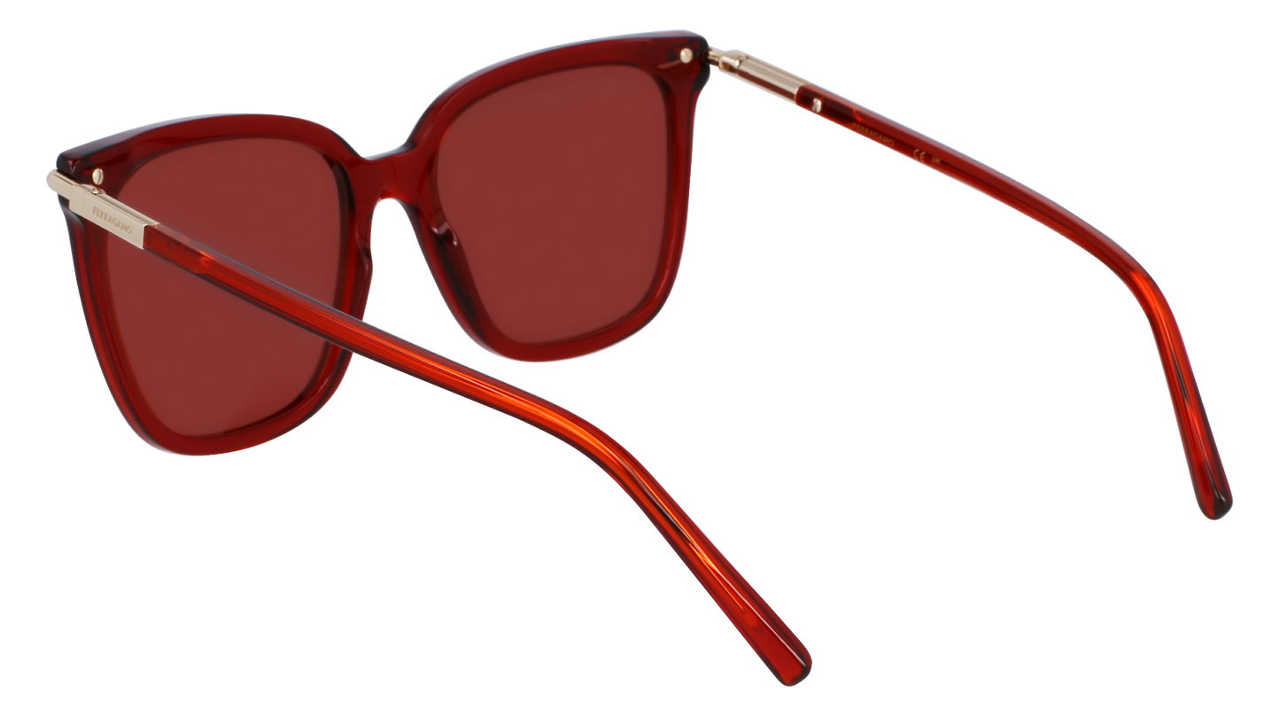 FERRAGAMO Sunglasses SF2037S 616 56