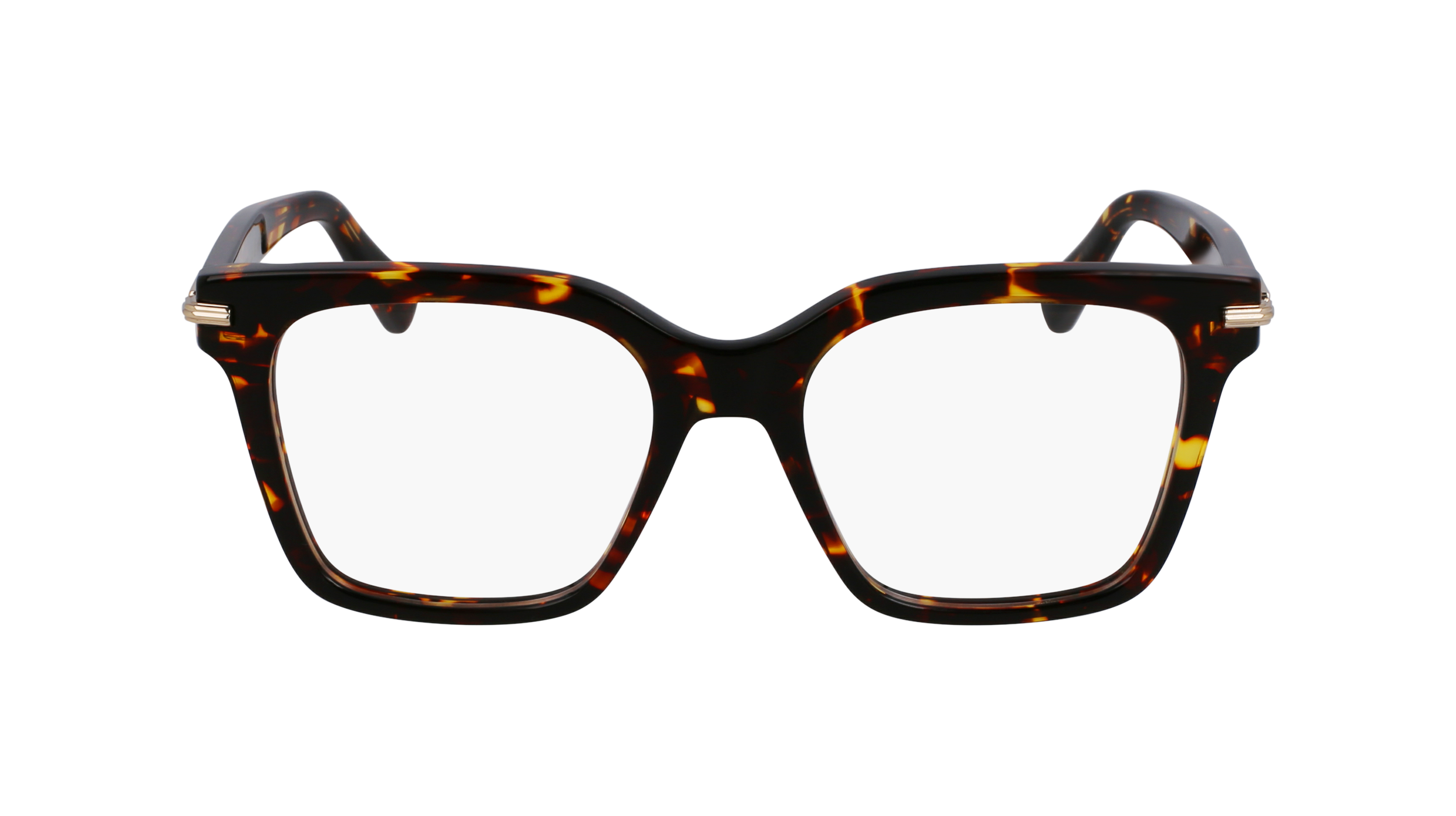 FERRAGAMO Eyeglasses SF3009 242 52