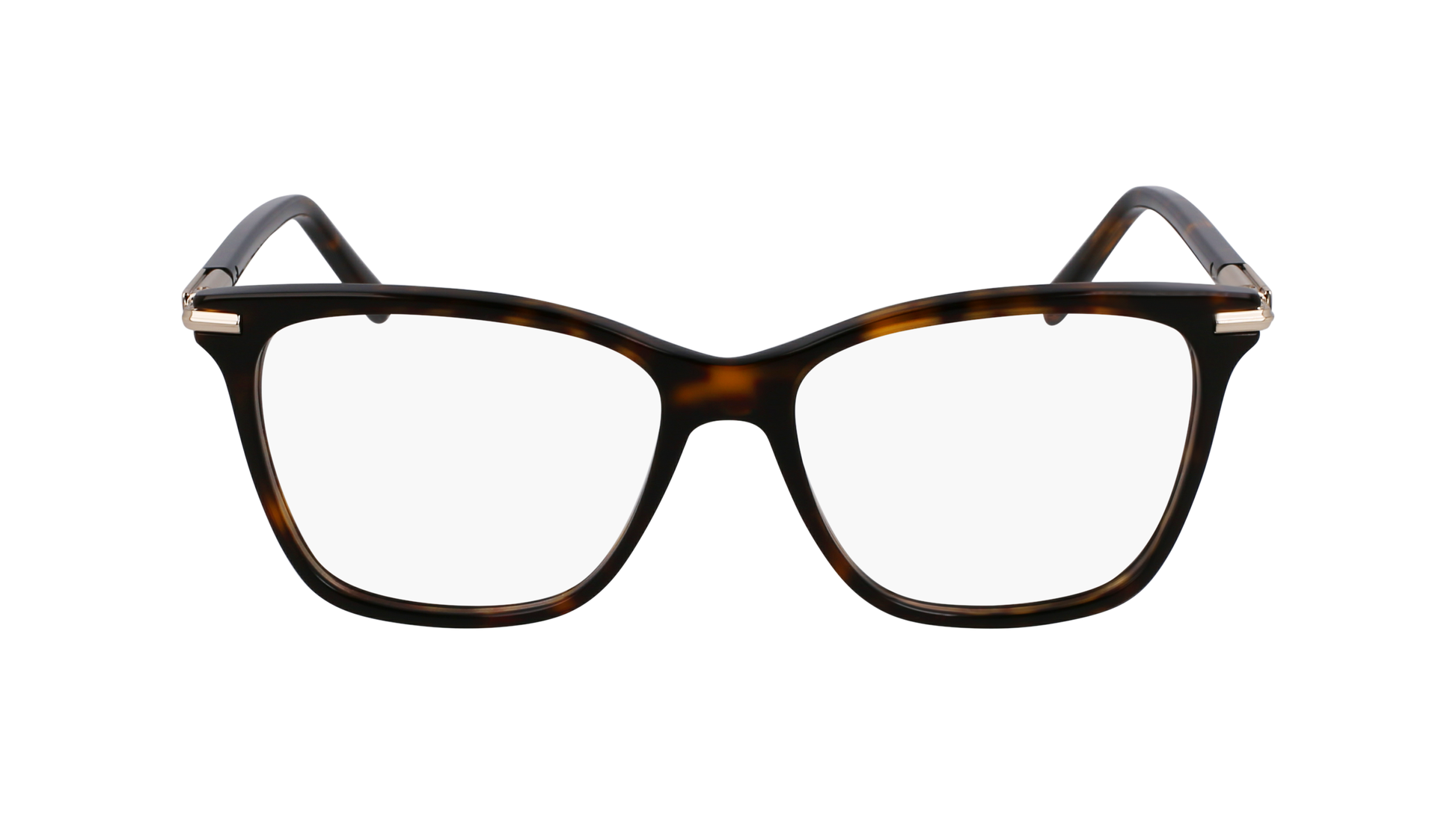 FERRAGAMO Eyeglasses SF3013 242 55