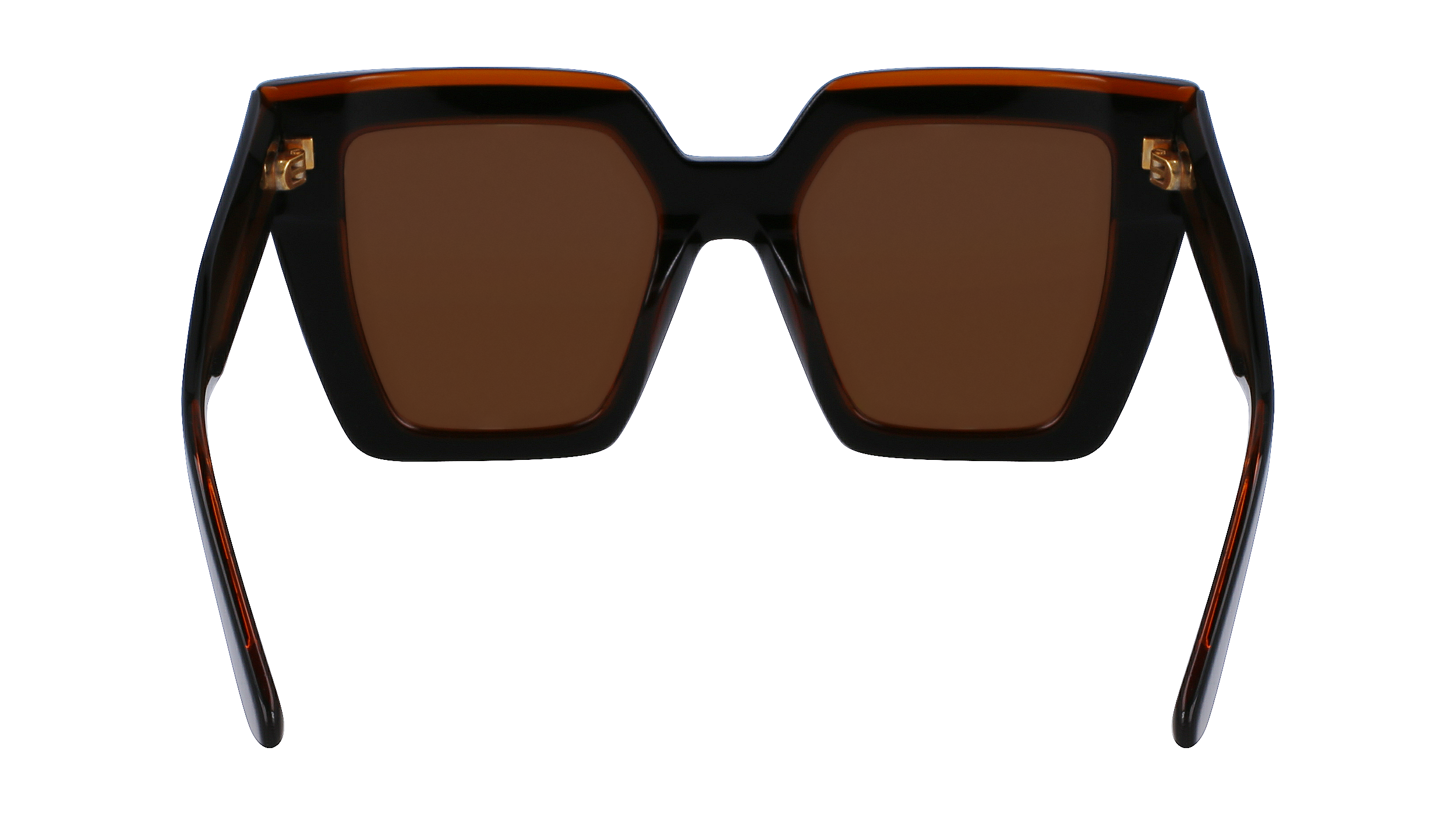 CALVIN KLEIN Sunglasses CK23502S 2 52