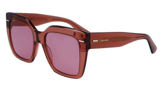 CALVIN KLEIN Sunglasses CK23508S 200 54