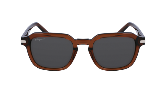 FERRAGAMO Sunglasses SF1089S 278 52