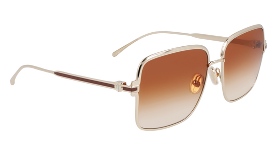 FERRAGAMO Sunglasses SF317S 704 57