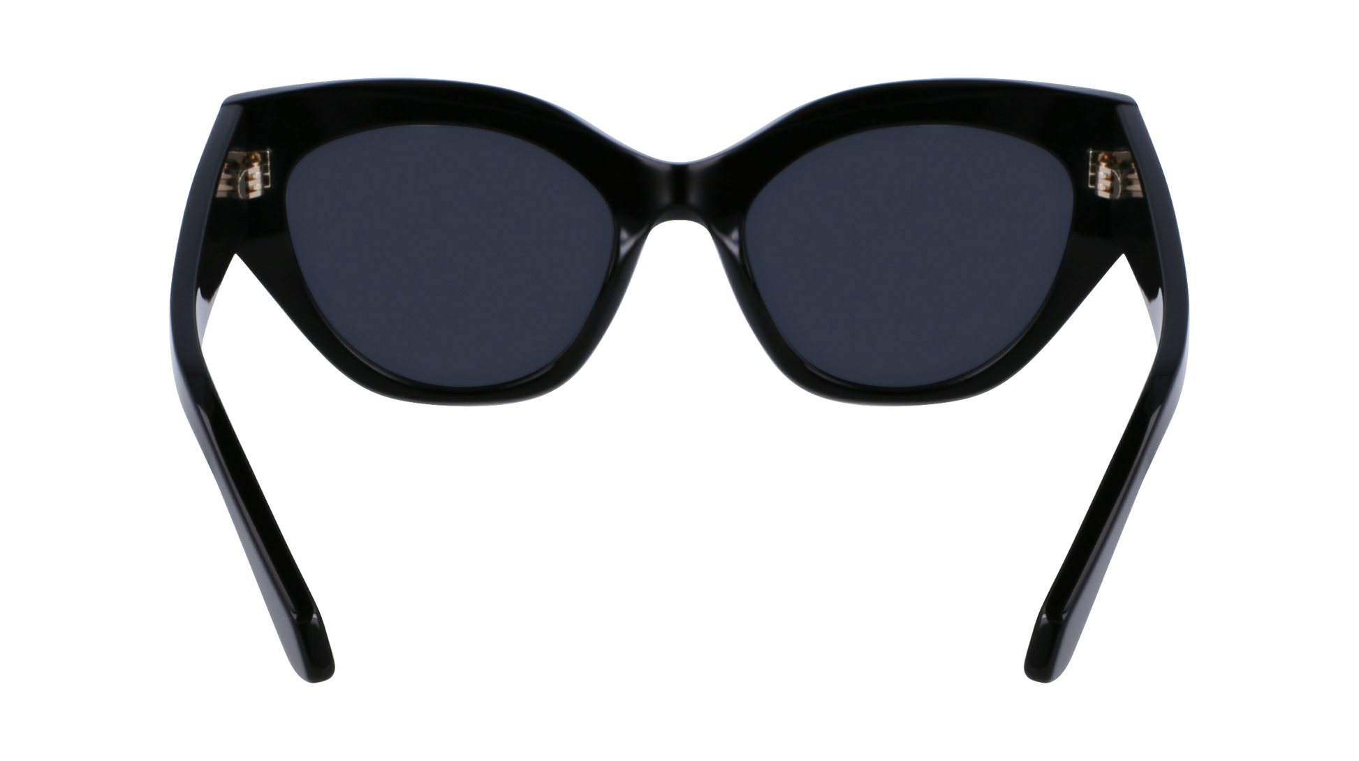 FERRAGAMO Sunglasses SF1107S 1 55