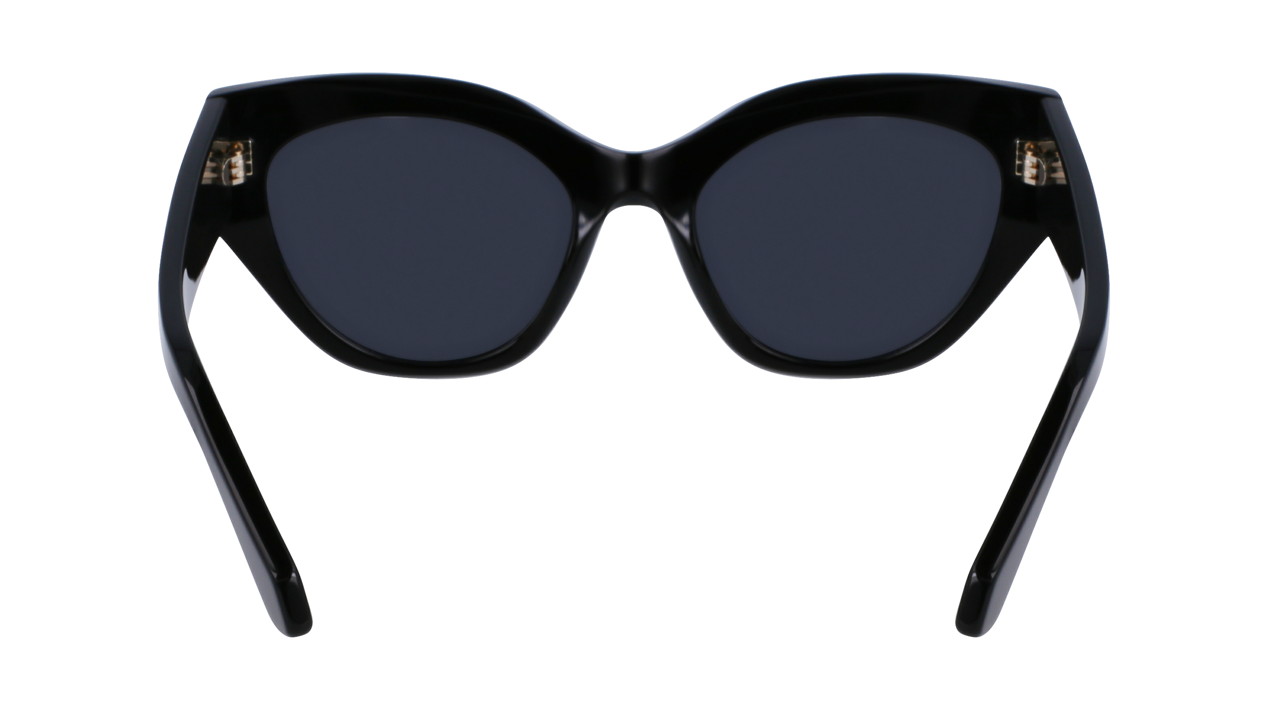 FERRAGAMO Sunglasses SF1107S 1 55