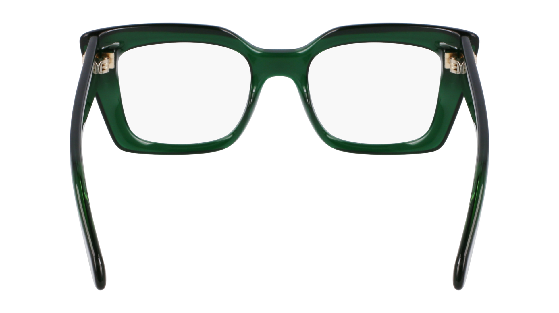 FERRAGAMO Eyeglasses SF3008 317 50