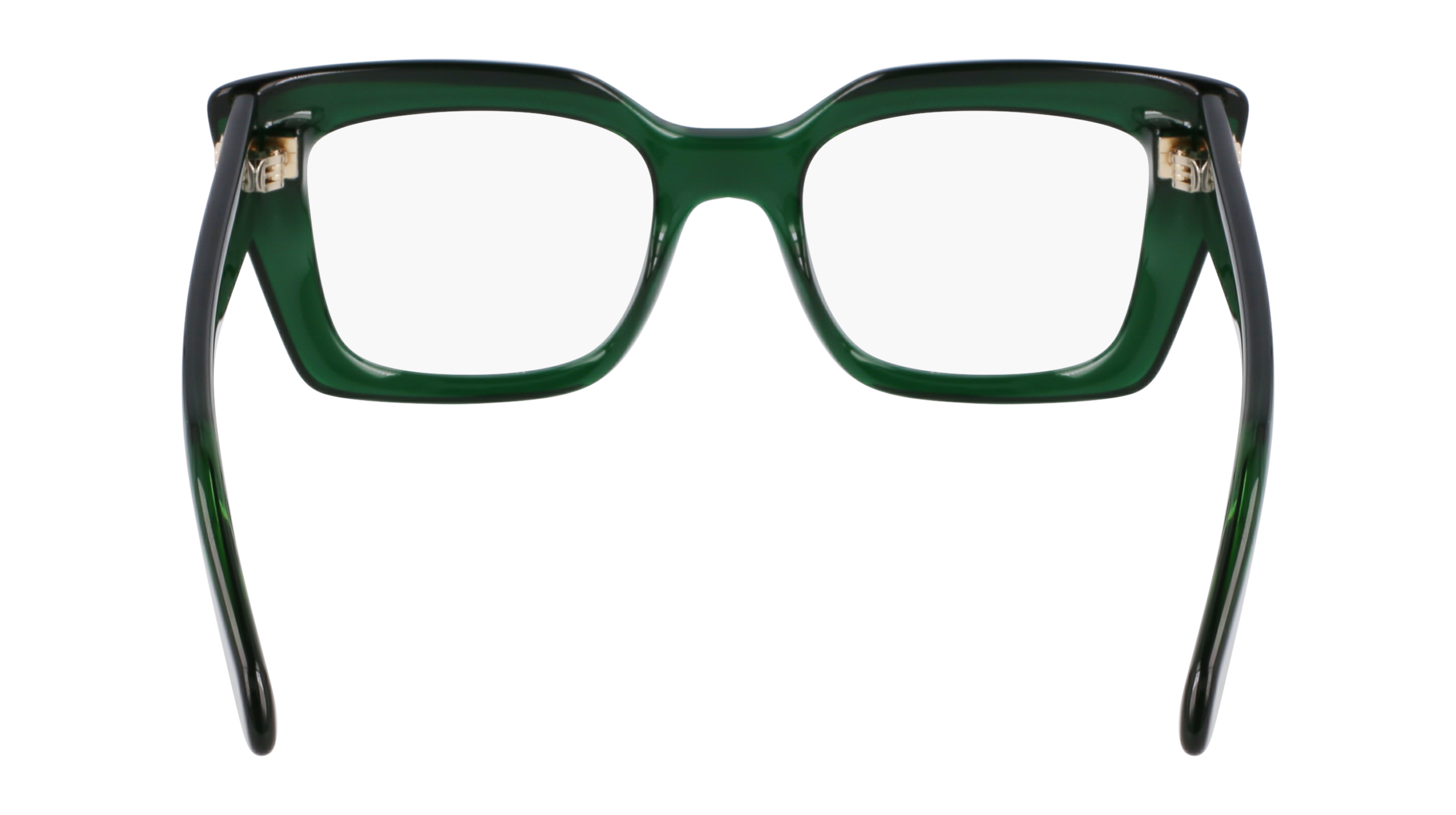 FERRAGAMO Eyeglasses SF3008 317 50