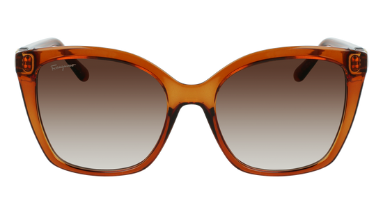 FERRAGAMO Sunglasses SF1026S 261 54