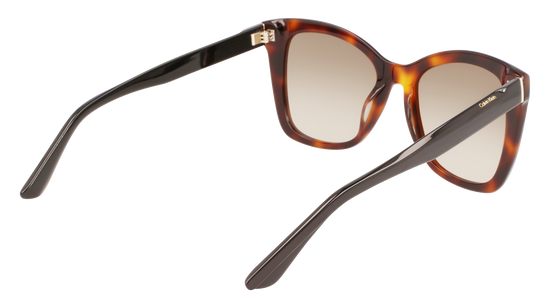 CALVIN KLEIN Sunglasses CK22530S 220 53