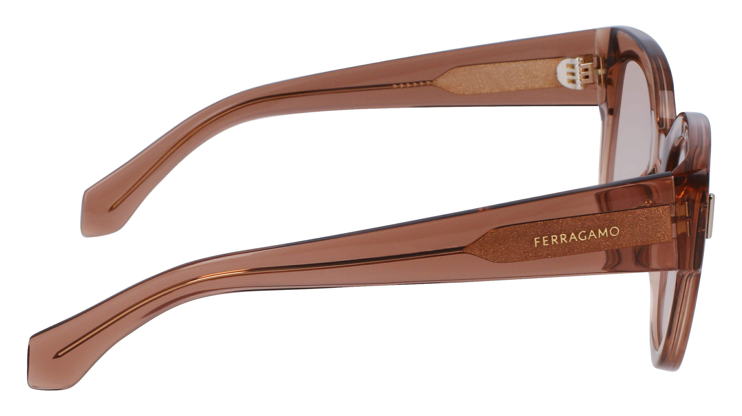 FERRAGAMO Sunglasses SF2007S 260 51