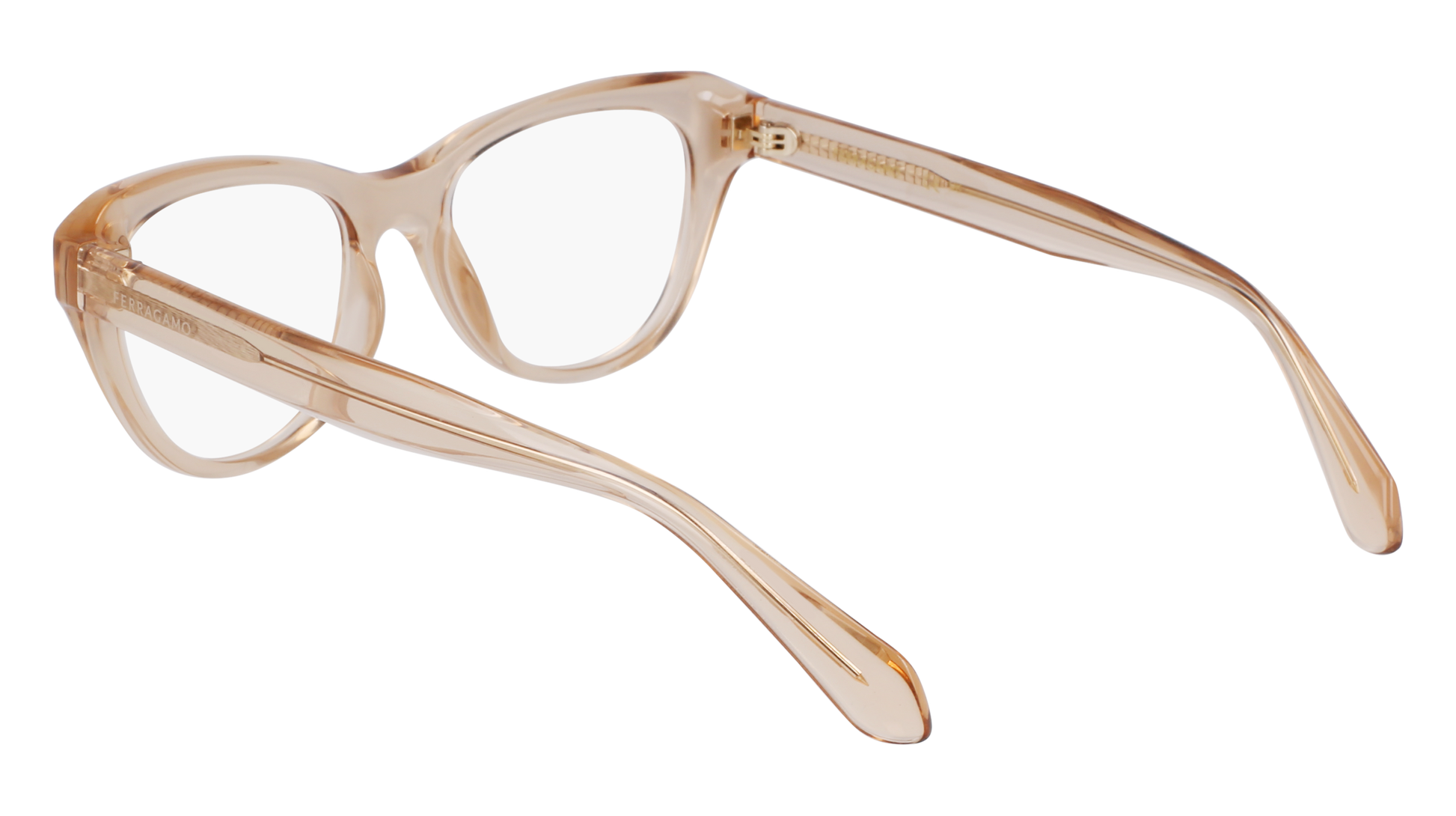 FERRAGAMO Eyeglasses SF2989E 259 51