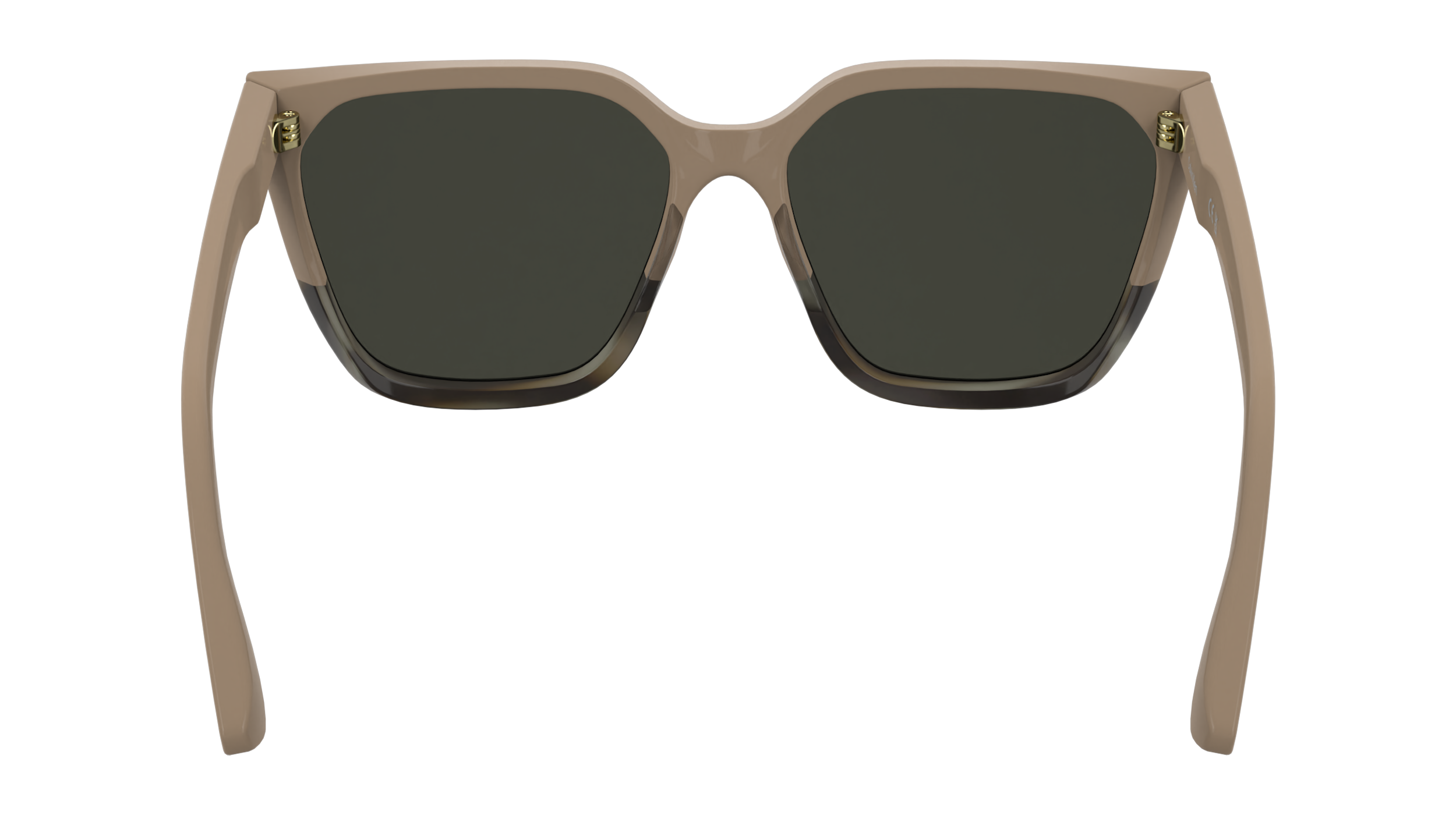 Calvin Klein CK25500S 602