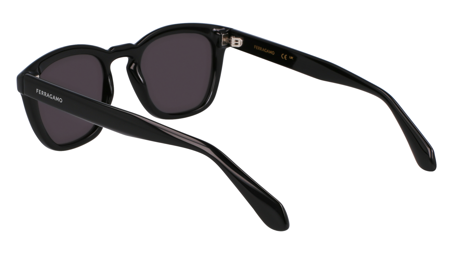 FERRAGAMO Sunglasses SF2040SE 1 50