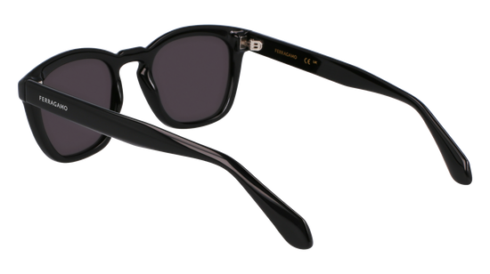 FERRAGAMO Sunglasses SF2040SE 1 50