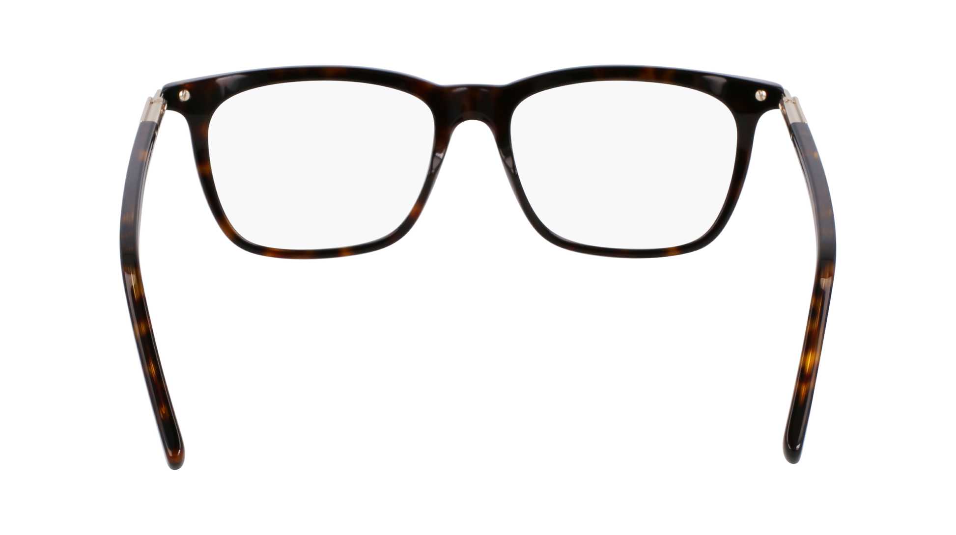 FERRAGAMO Eyeglasses SF3007 242 56