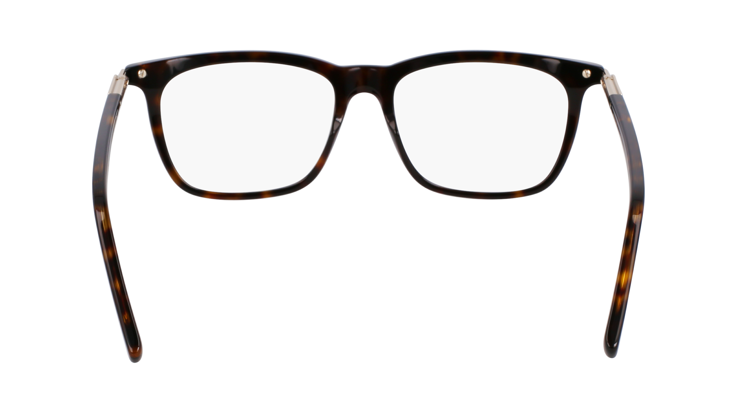 FERRAGAMO Eyeglasses SF3007 242 56